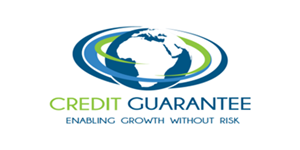 https://new.strategicinsight.mu/wp-content/uploads/2021/06/Credit-guarantee-logo.png
